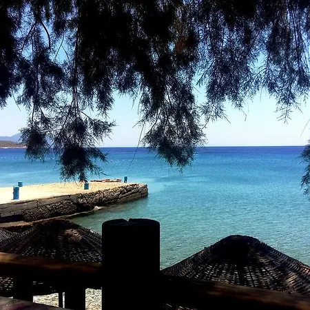 Knidos Датча